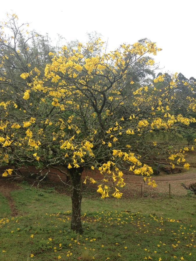 Casa De Campo,Sitio,Vale Europeu-Sc Rio dos Cedros Bagian luar foto